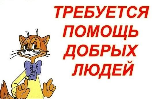 Дуже терміново потрібна ваша допомога.