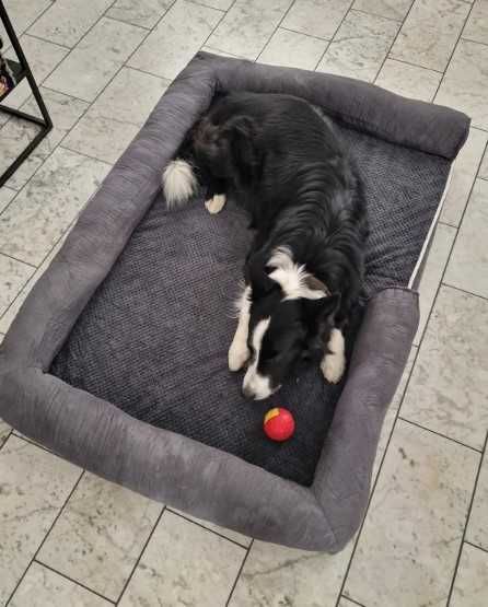 Legowisko ortopedyczne dla psów sofa FEANDREA 120 x 85 x 25 cm Łóżko