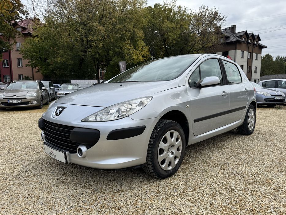 Peugeot 307 1.6HDi/Klimatyzacja/Tempomat/El.Szyby/Ekonomiczny
