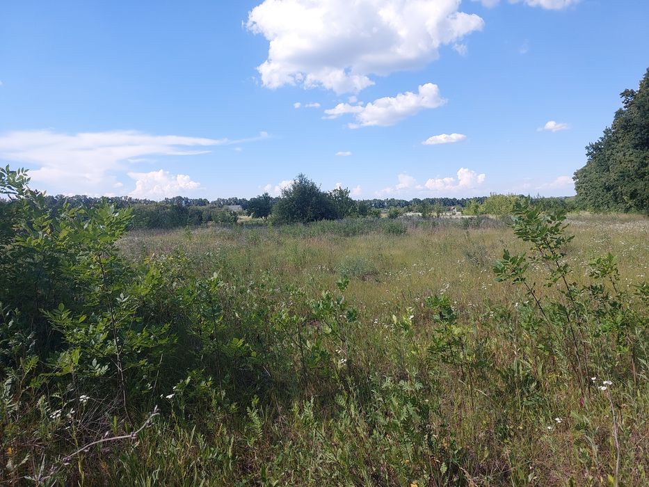 Продам земельный участок в Солоницевке (Берминводы)