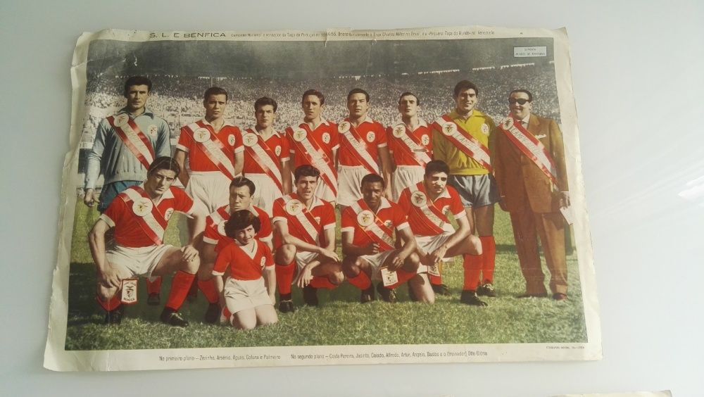 Separata do S.L.Benfica Campeão Nacional e vencedor da Taça 1954/1955