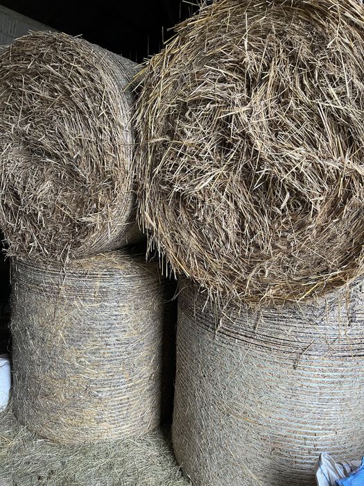 Słoma siano belki 120