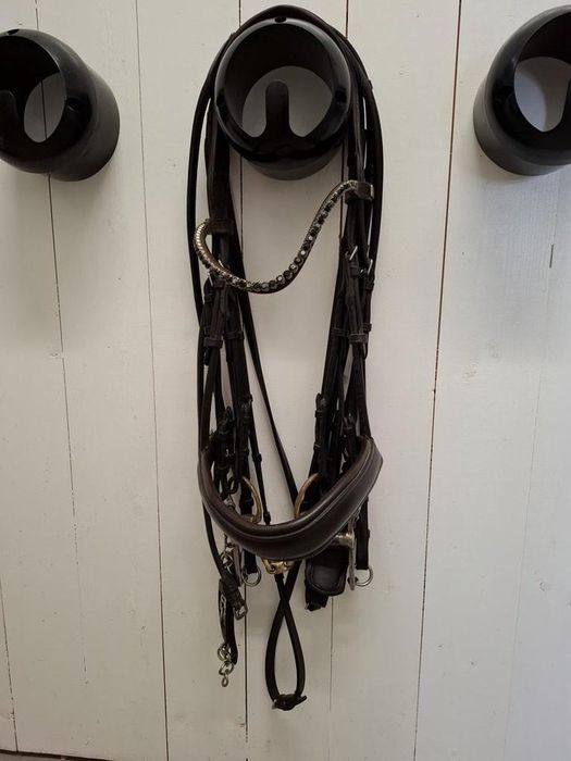 Brązowy kantar PS of Sweden