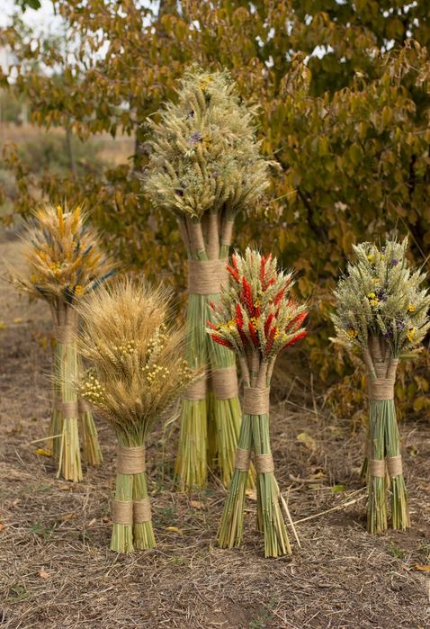 Різдвяний дідух.