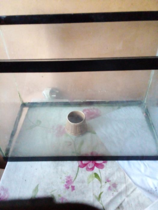 Аквариум на 20-30 литров