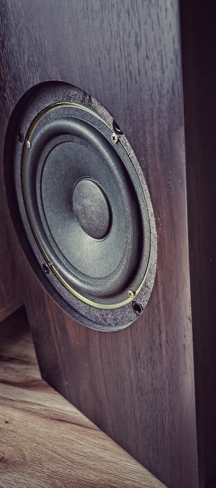 Wzmacniacz Aiyima 300W plus kolumny Koda