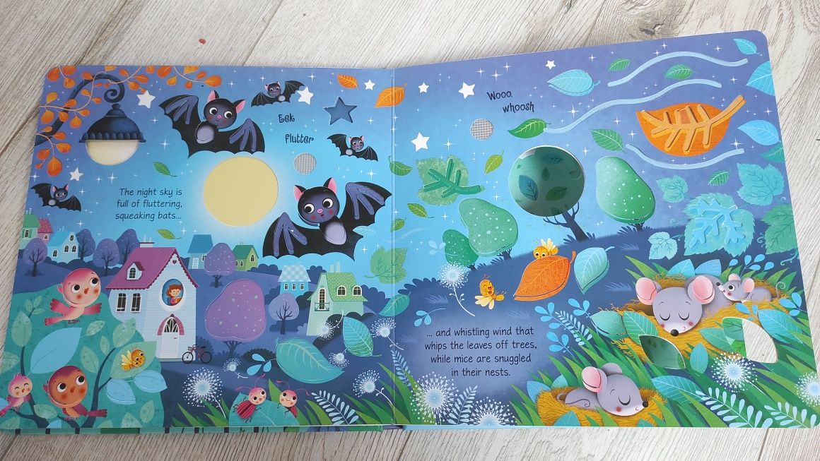 Usborne książka dla dzieci po angielsku