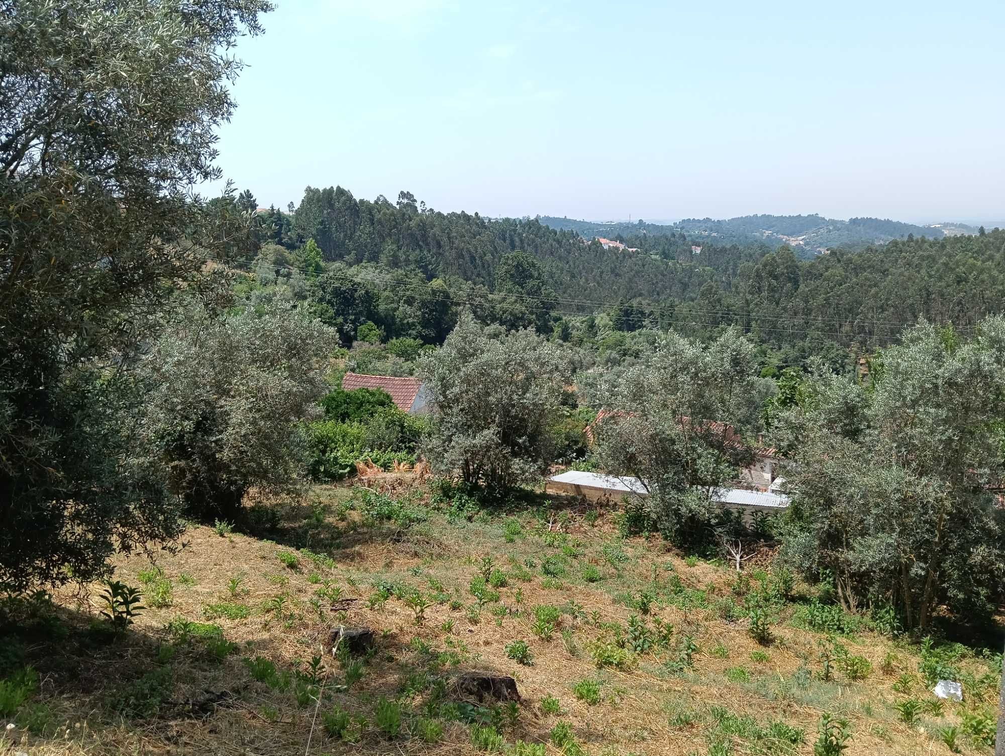 Terreno para construção - São Paulo de Frades