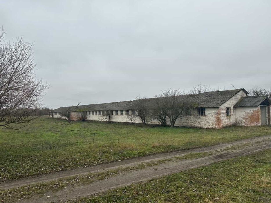 Приміщення телятника