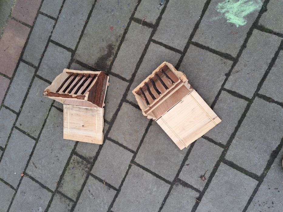 Paśnik dla królika świnki morskiej