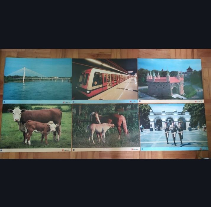 Wesoła Szkoła - zestaw 6szt dwustronnych obrazków/pomocy dydaktycznych