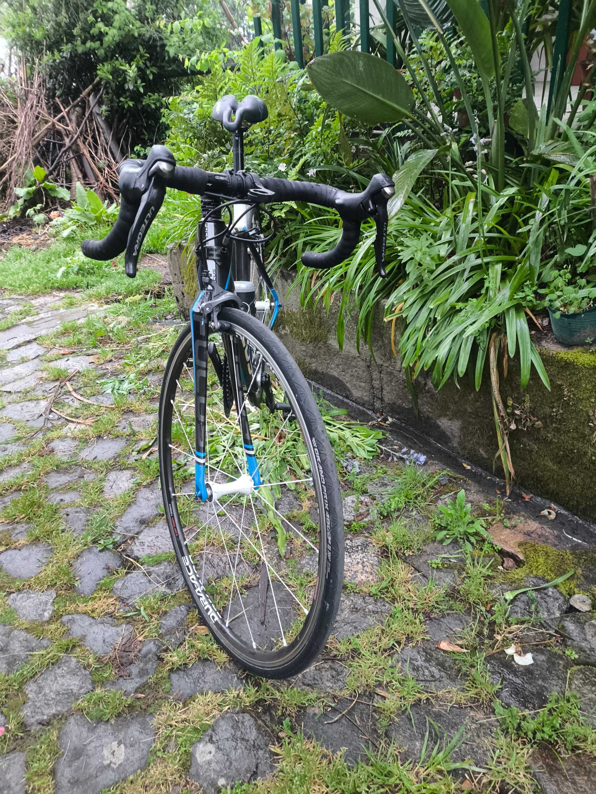 Focus Cayo Ultegra