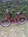 Rower damka Retro