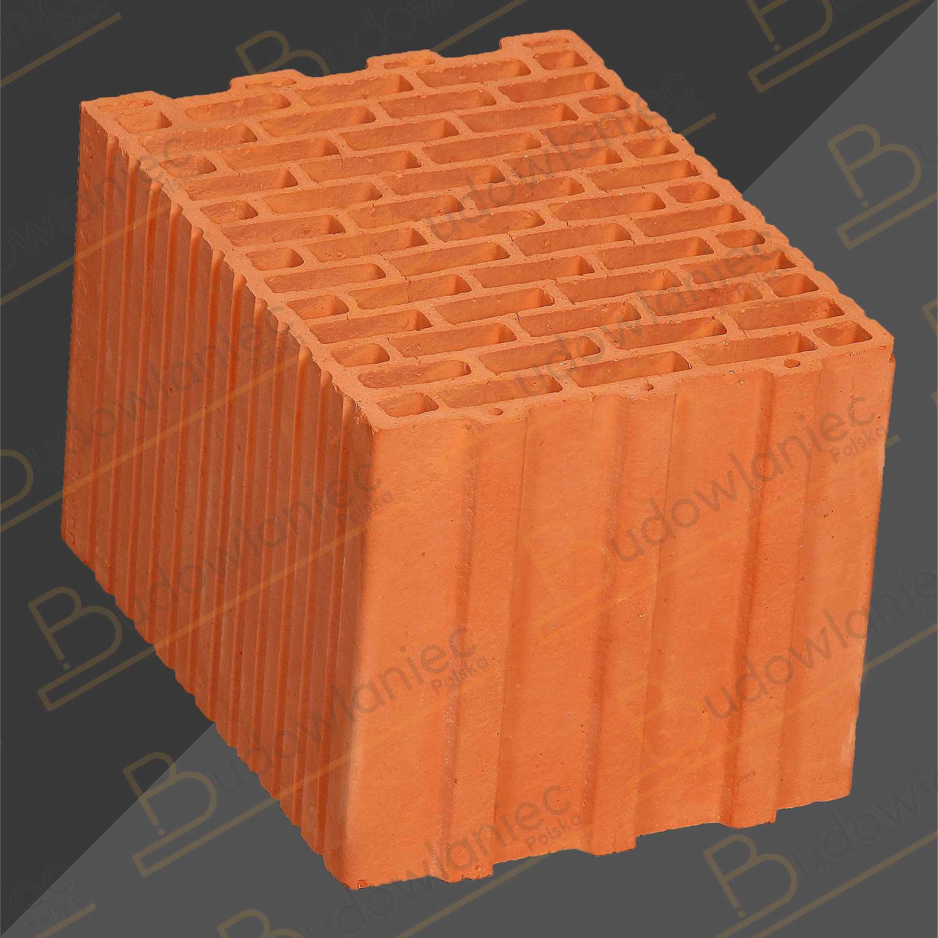 Cegła ceramiczna Pustak 25 P+W kl.10 Termoton Owczary + dost. HDS-em