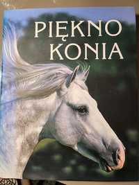 Piękno konia album