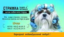 Стрижка котов и собак с выездом на дом.Груминг