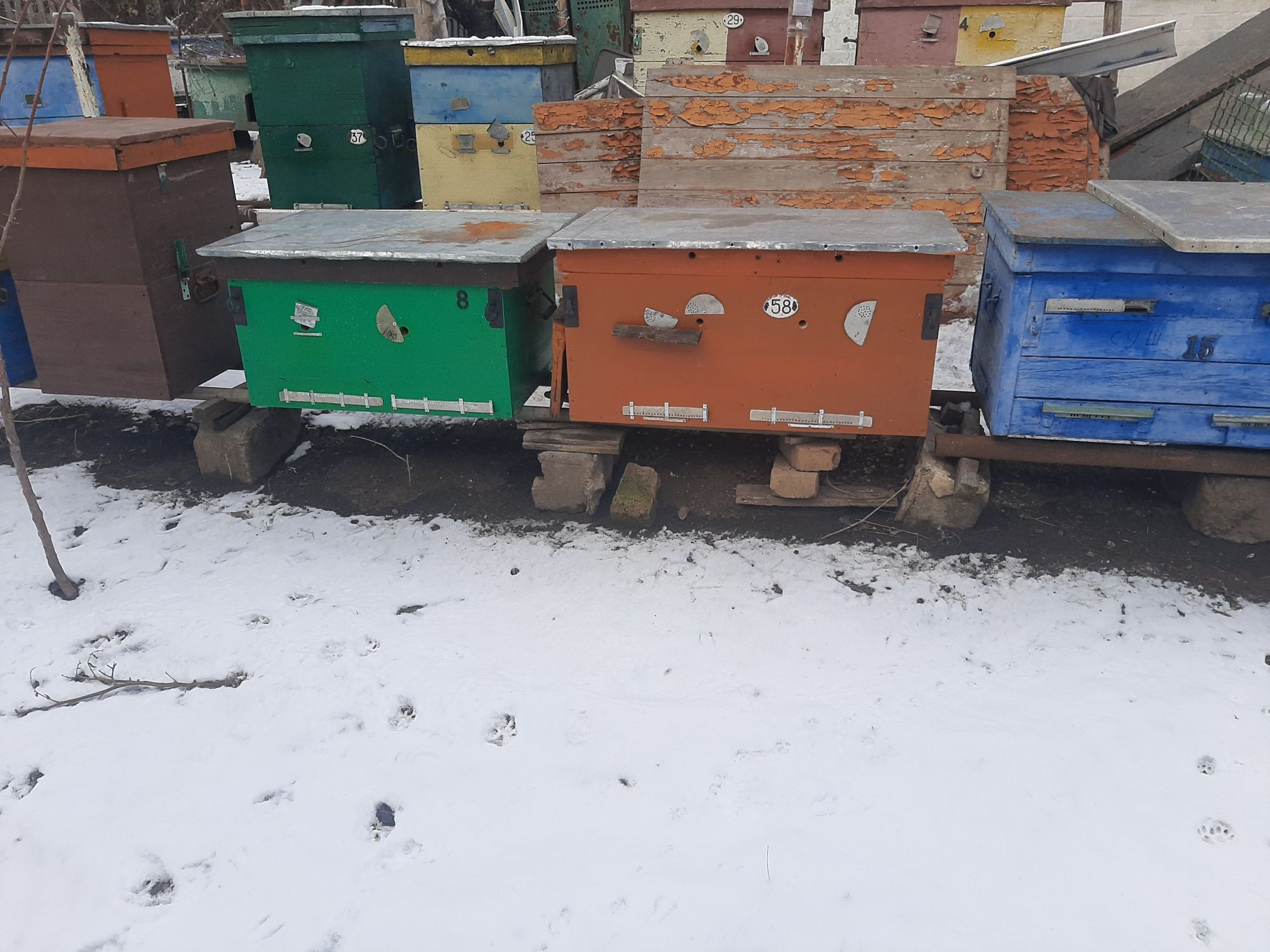 Продам бджолосімї вулики