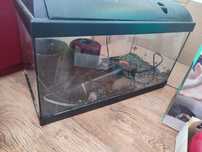 Akwarium terrarium 54l 60l