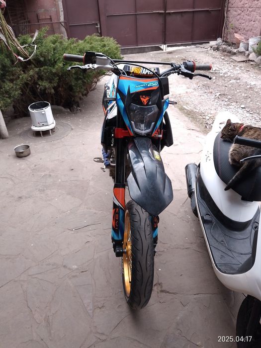 Кови Адванс 2023