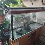 Aquario + todos os acessorios