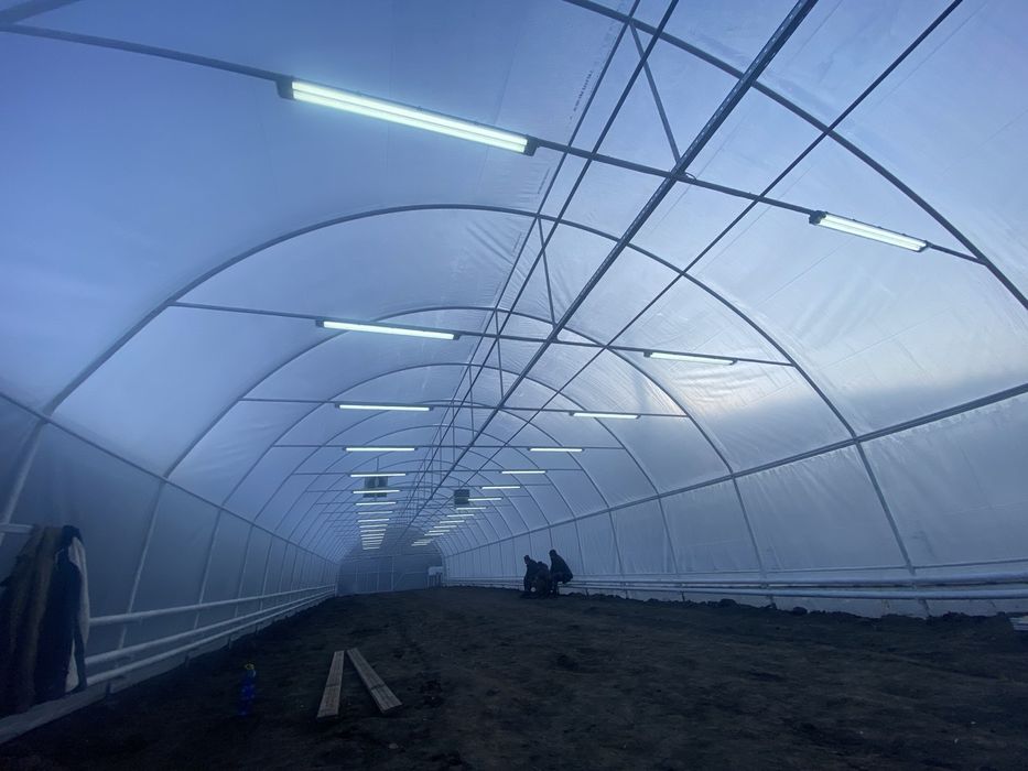 Теплиці 10×50 чорний та оцинкований метал