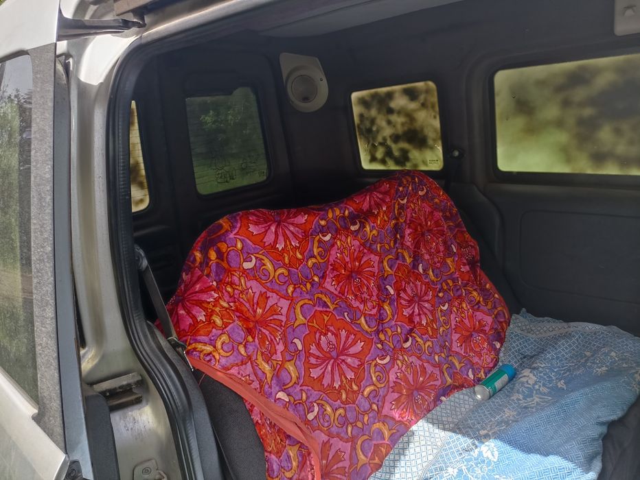 Продам надійного коня