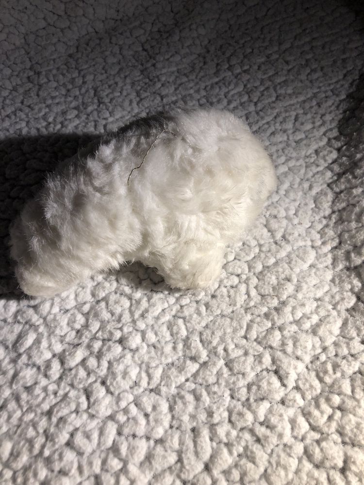 Foca branca peluche