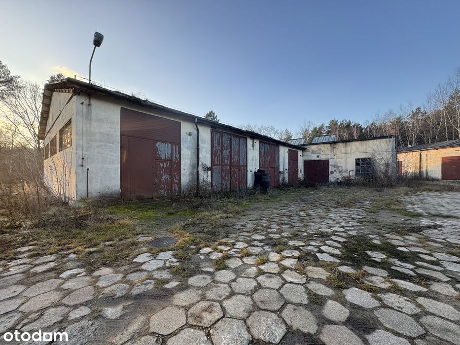 Magazyny od 60 m² do ponad 500 m² tylko 4,5zł netto/m2