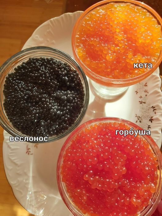 Ікра горбуші, кети та веслонос Икра красная