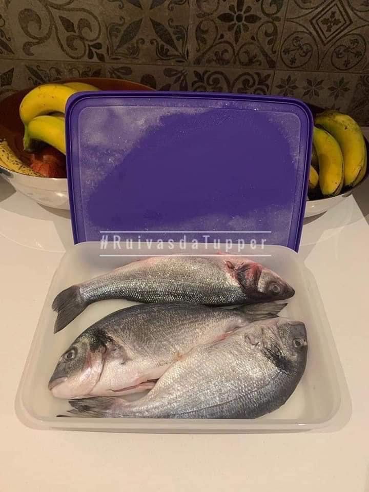 Caixa de Congelação 2.25L Tupperware