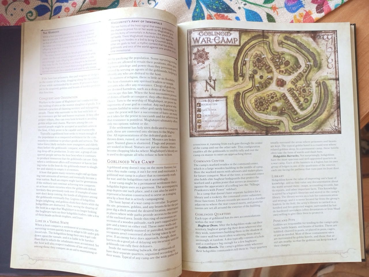 Dungeons and Dragons Volo's see Guide to Monsters Ang.