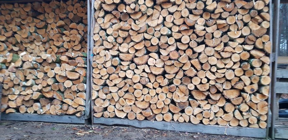 Drewno opałowe BRZOZA