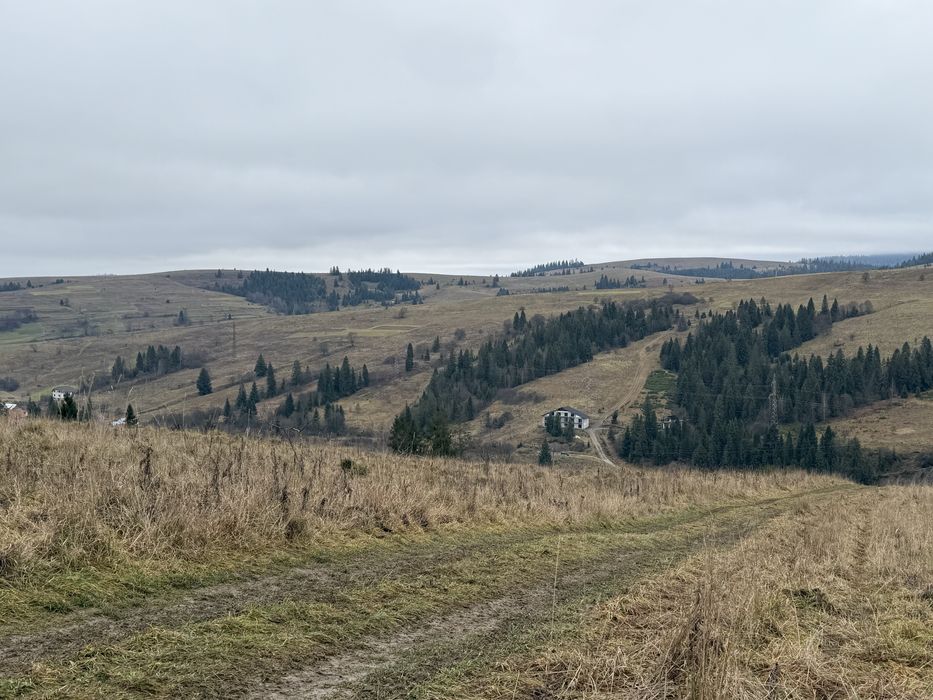 Продається ділянка осг в с. Пилипець