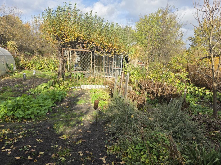 Działka w ogródkach działkowych łączką