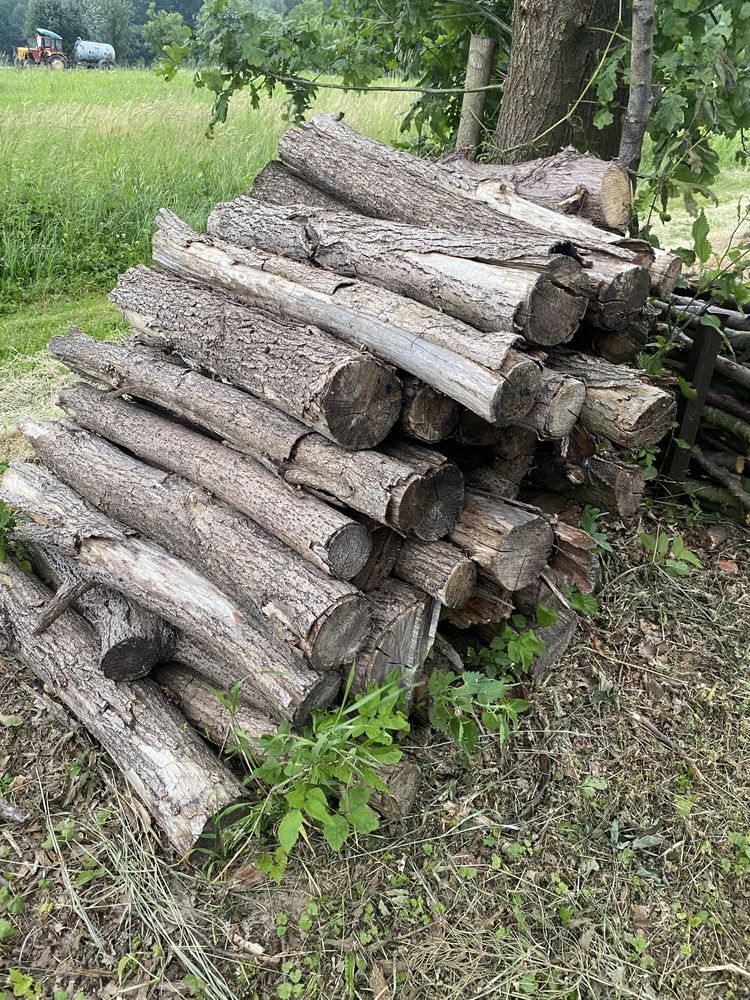 Drewno opałowe z karczowania