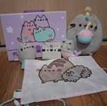 Zestaw Pusheen (teczka, maskotki, portfelik, worek)