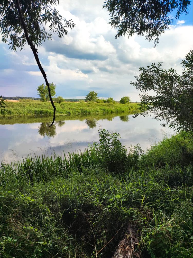Malownicza Działka nad Narwią na sprzedaż