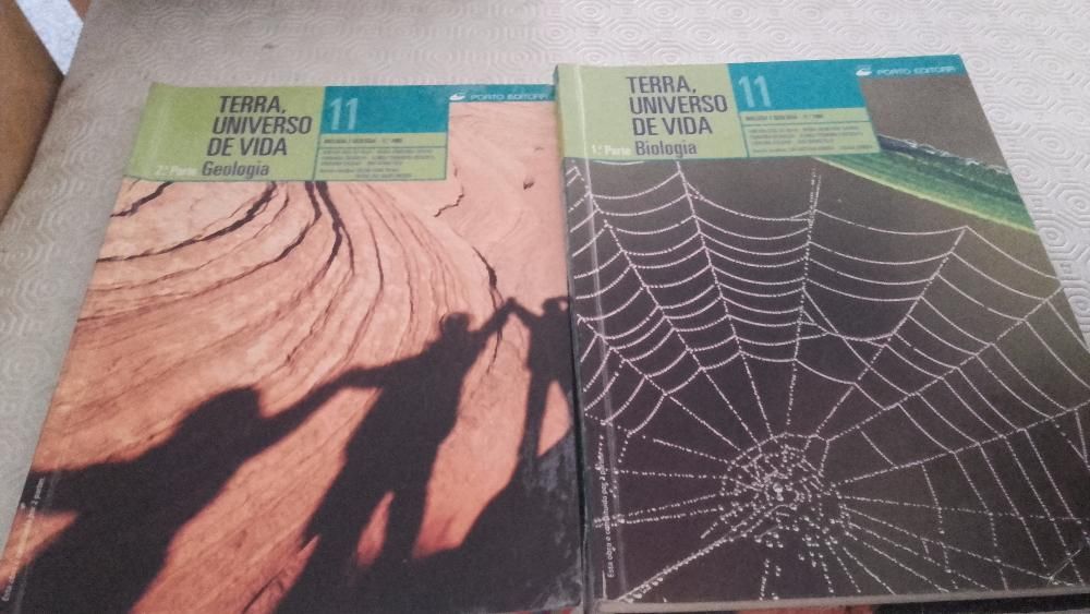 livros escolares 10 e 11