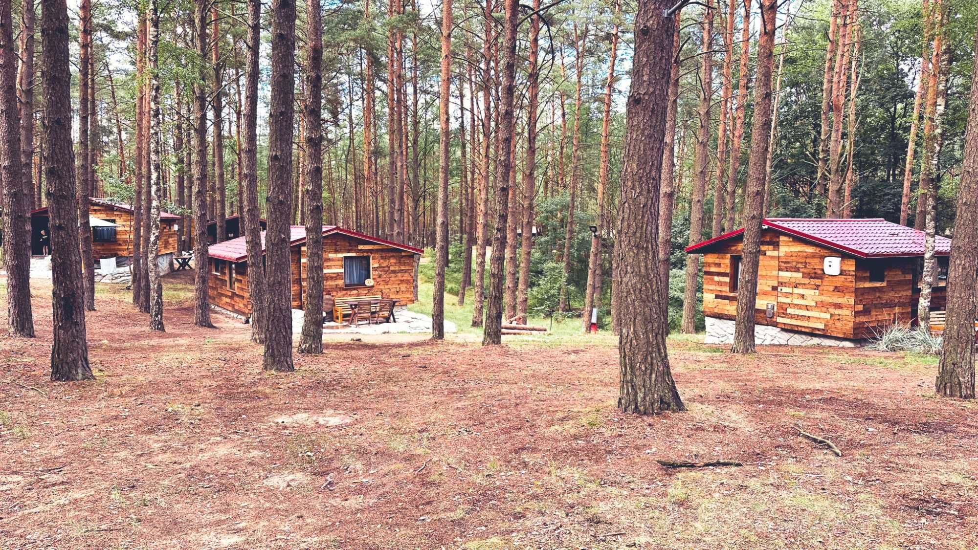 Wynajmę Domek letniskowy nad jeziorem  Bory Tucholskie Ocypel