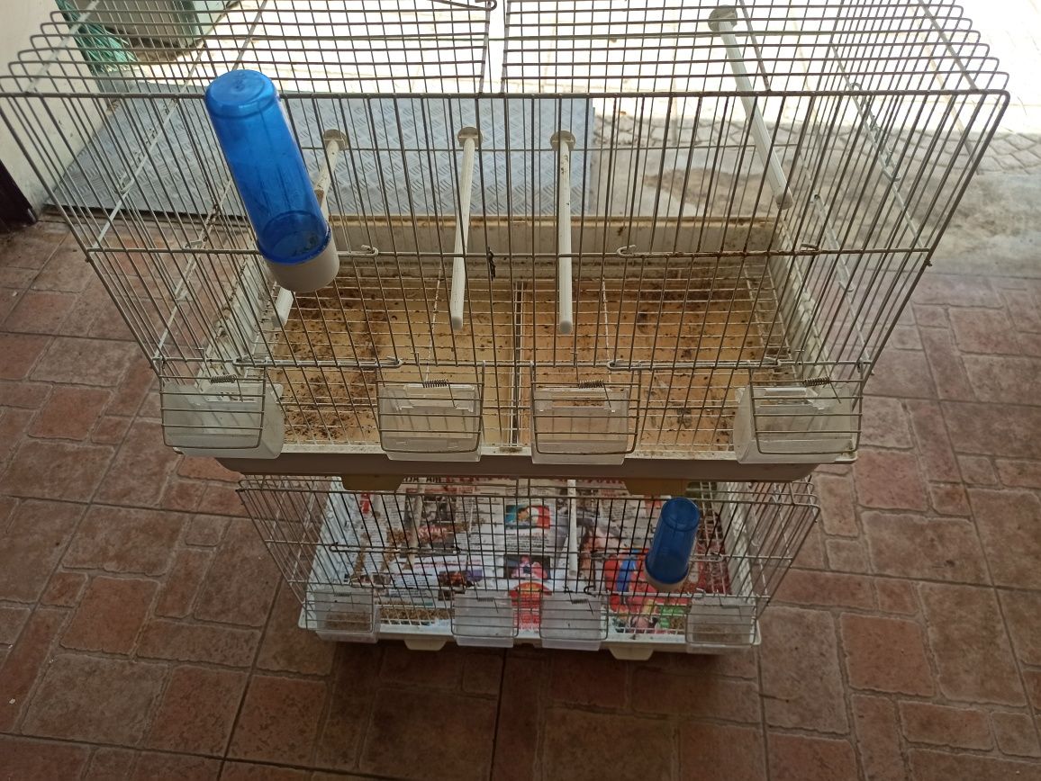 Gaiola viveiro duplo