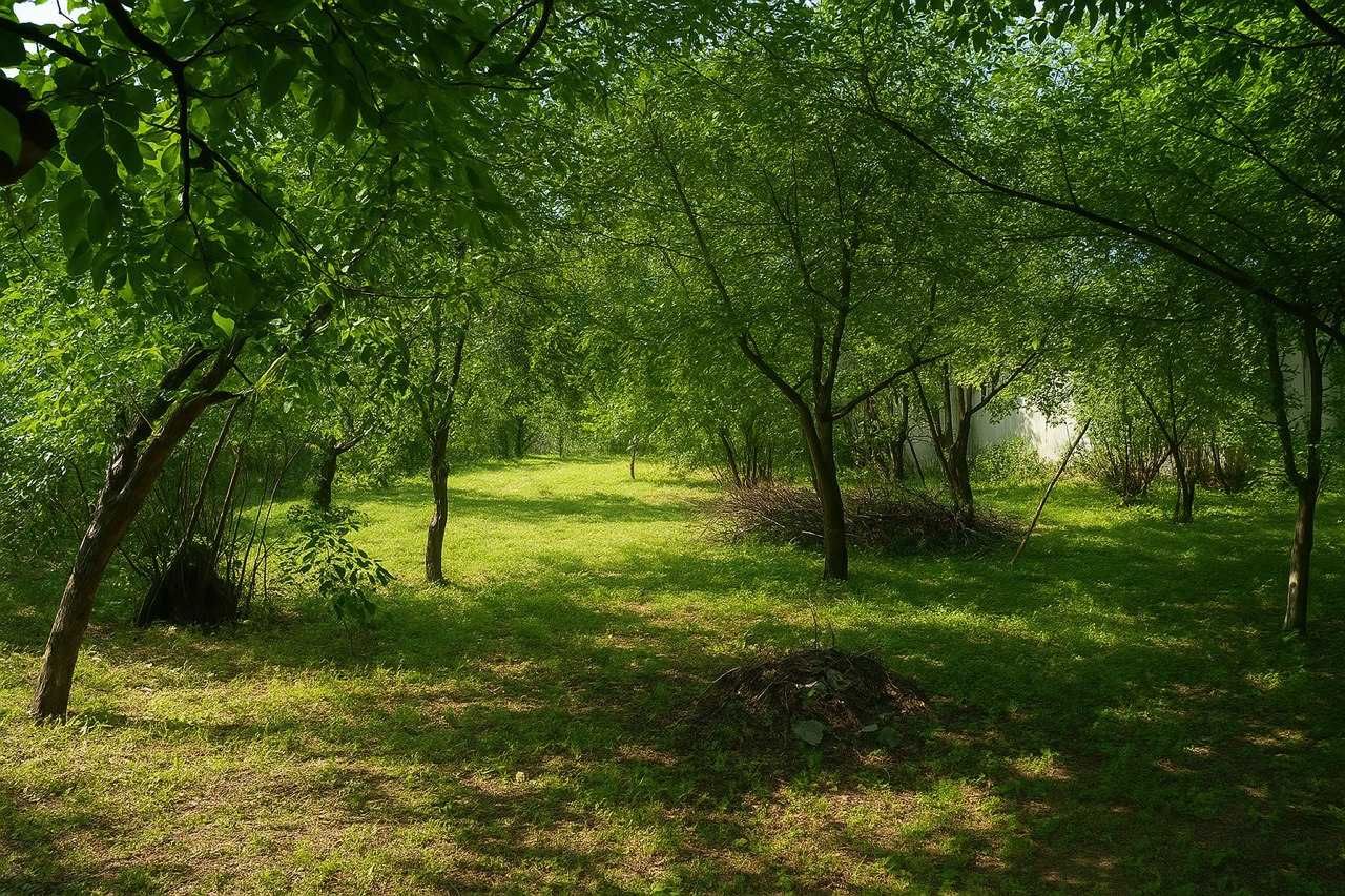 Продаж великої ділянки в самому Києві!