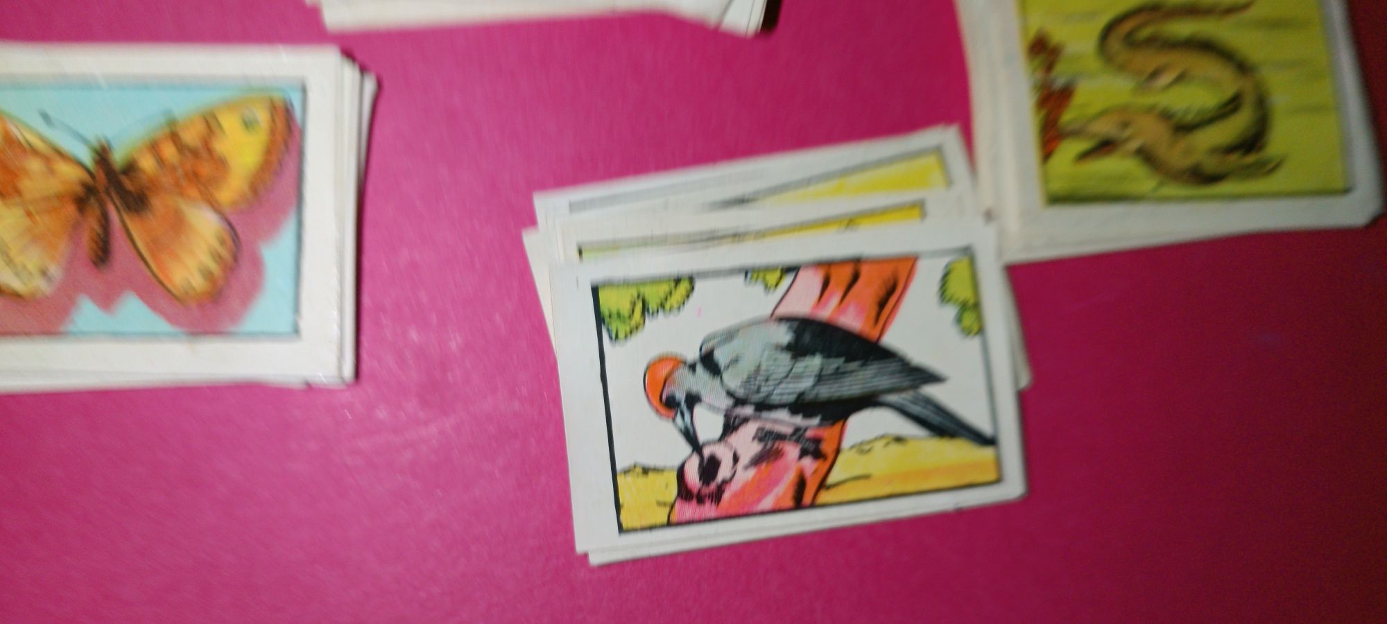 Antigos cromos da coleção zoologia 1 série