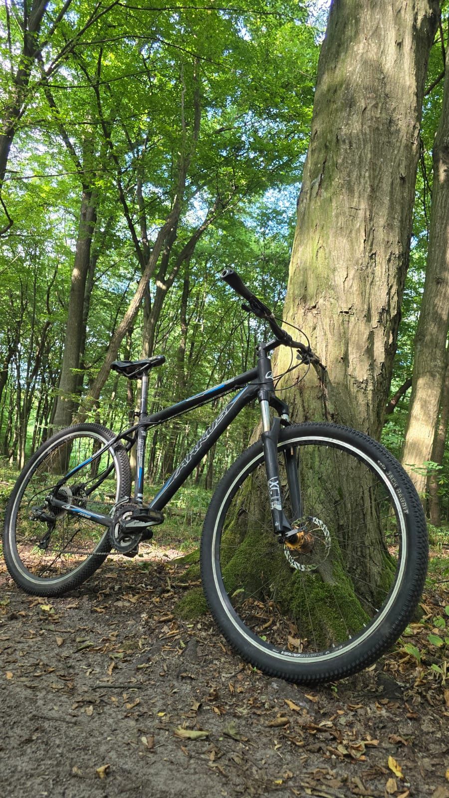 Arkus Beryl 290 rower górski MTB