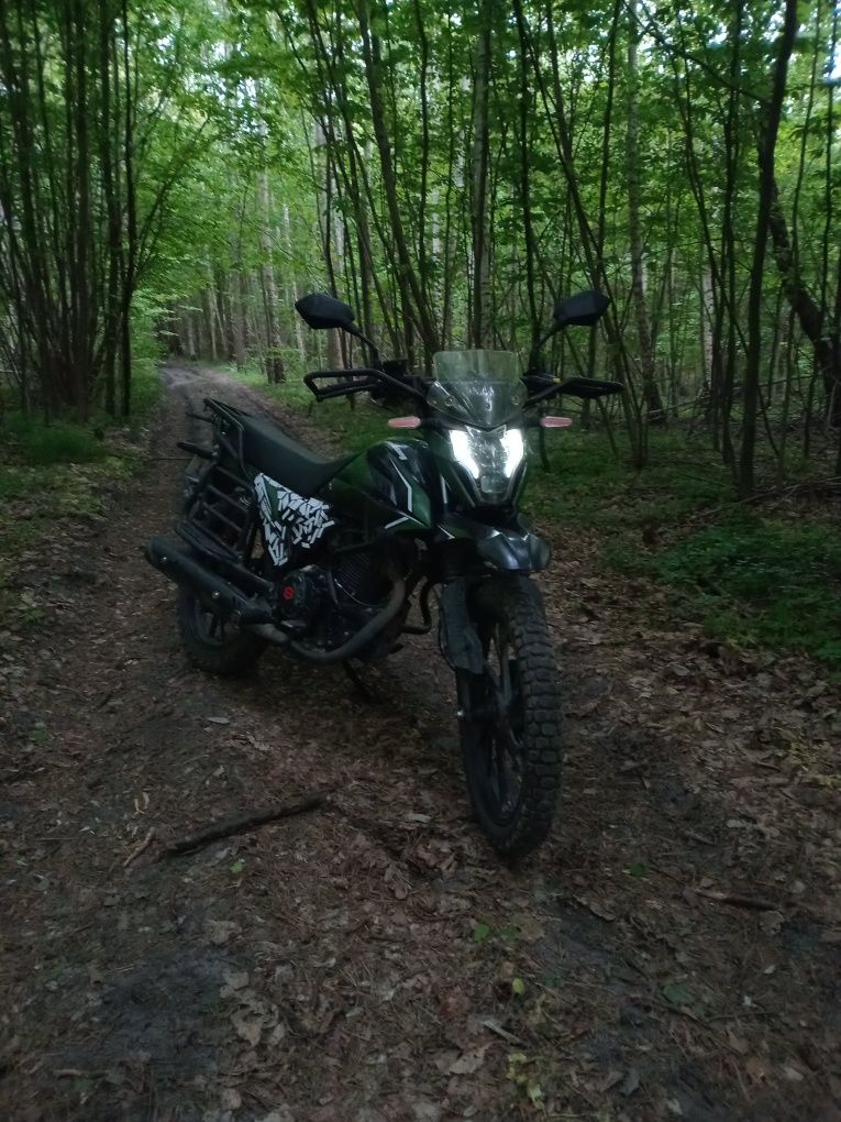 Mysstang grader 250