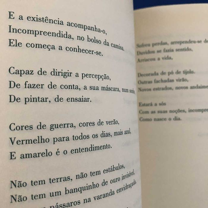 Arjen Duinker A CANÇÃO SUBLIME DE UM TALVEZ Prefácio Nuno Júdice