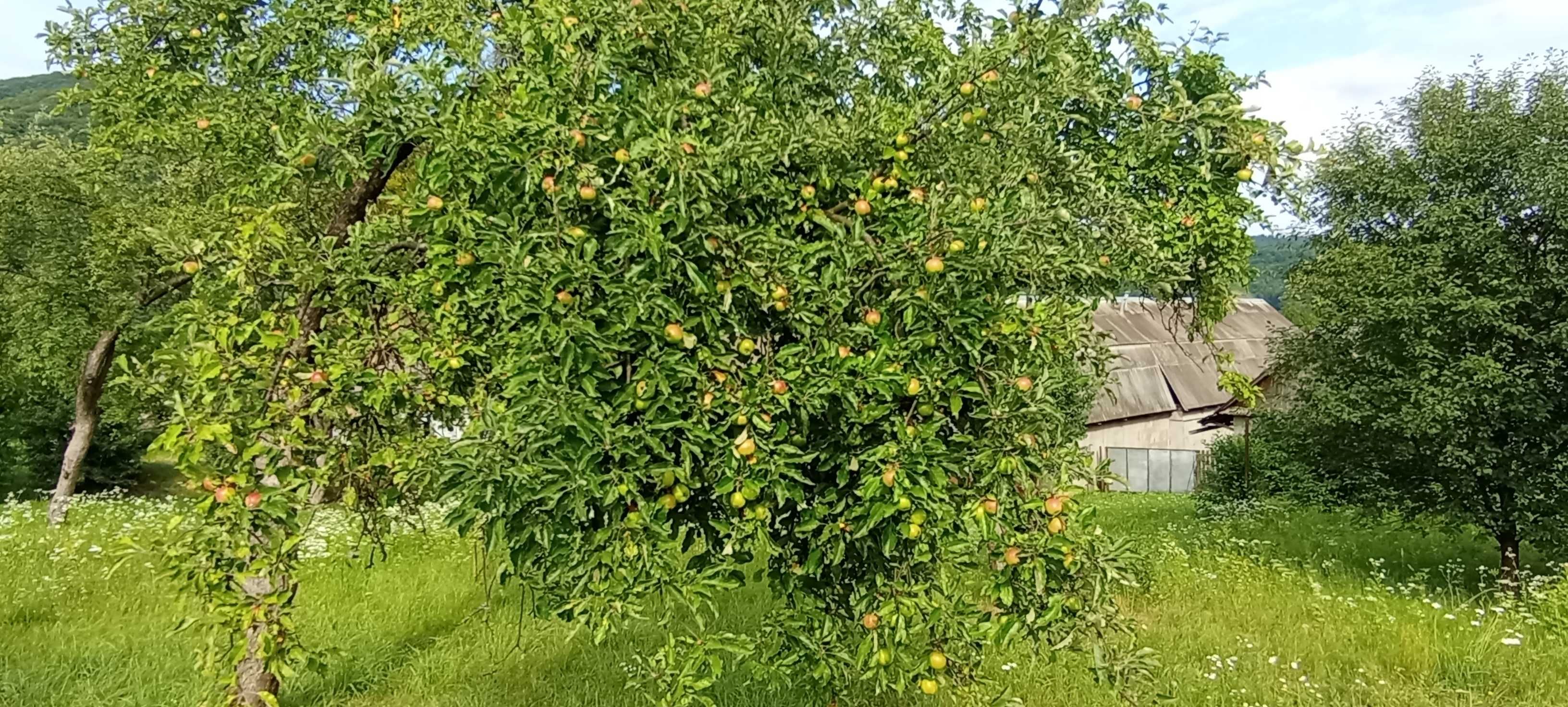 Продаємо будинок село Солочин з чудовим видом на Карпати