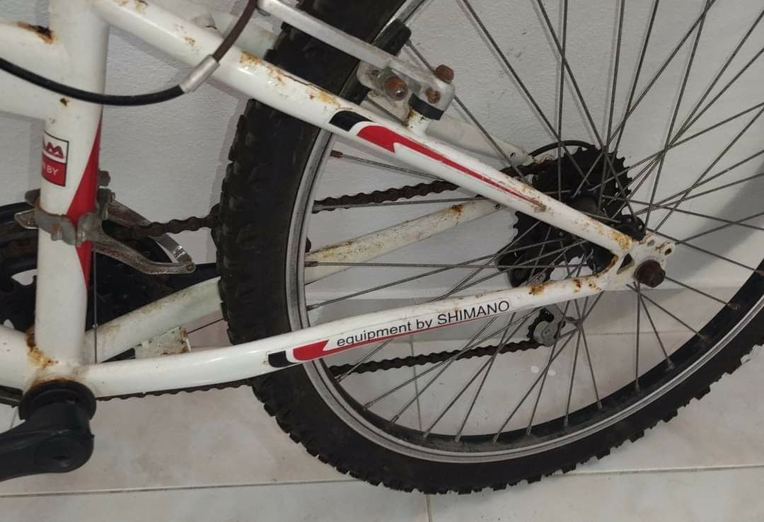 Bicicleta Shimano