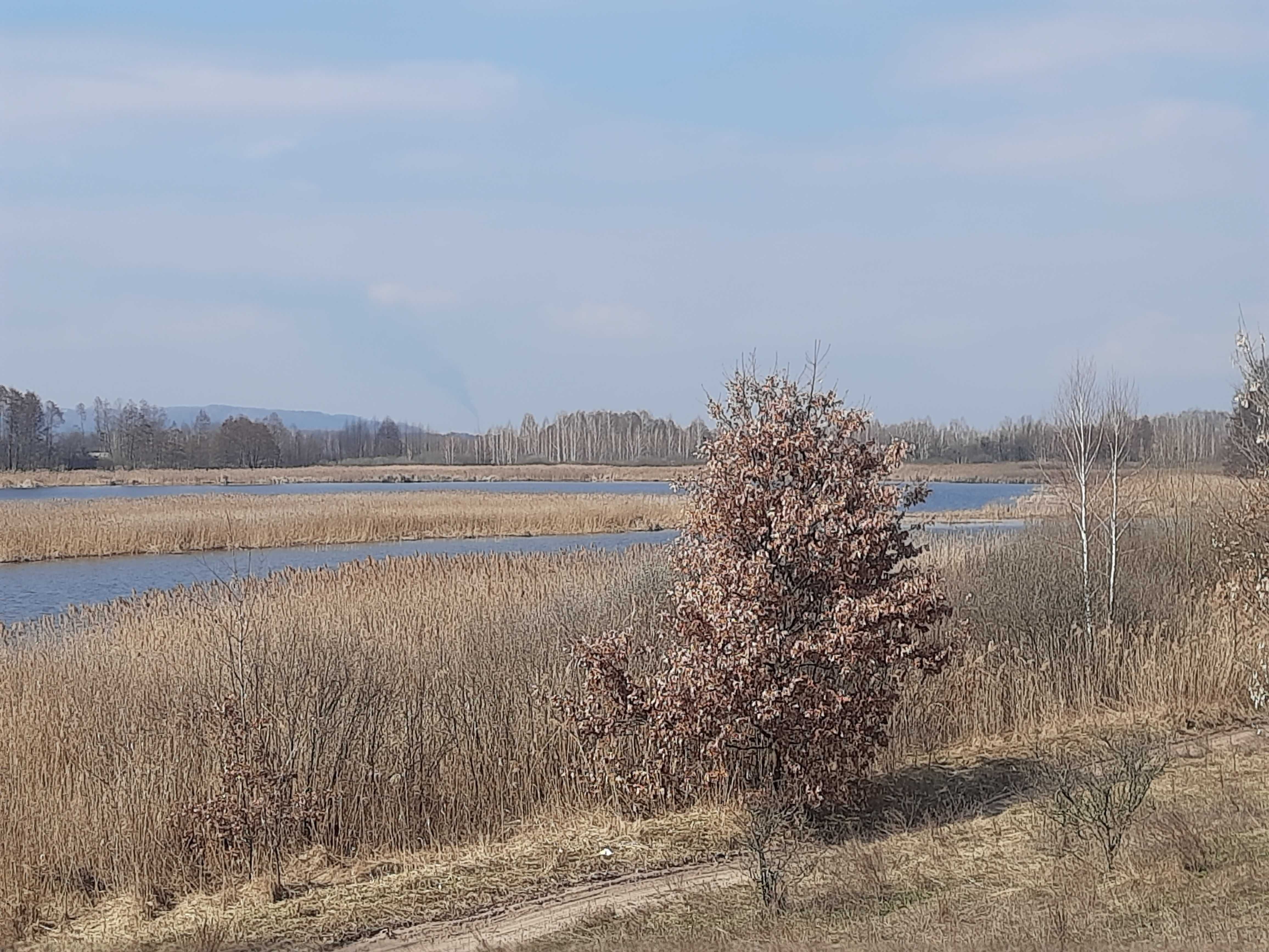 Земельна ділянка під ОСГ пл. 2,0 га с. Головурів Бориспільський р-н