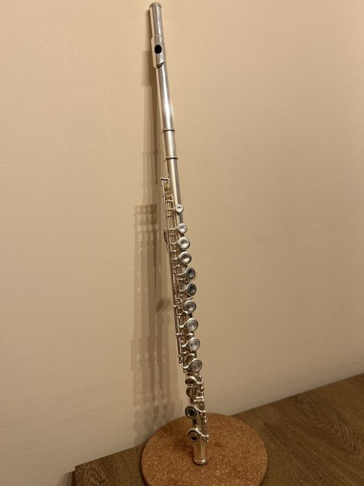 Flet poprzeczny Roy Benson