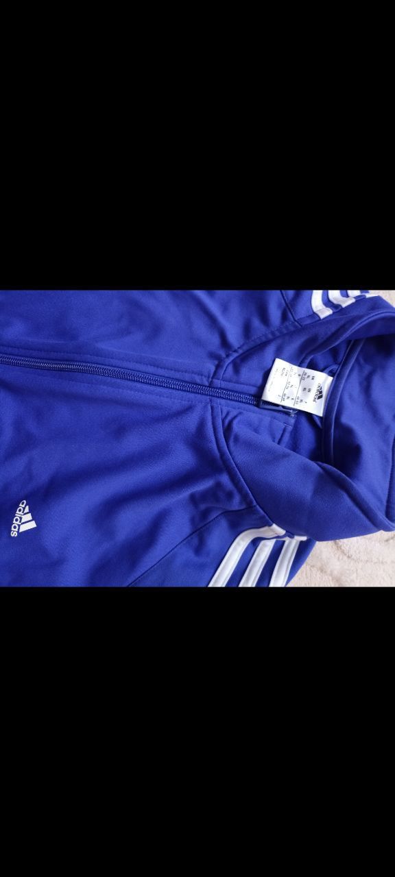 Синя кофта олемпійка Adidas